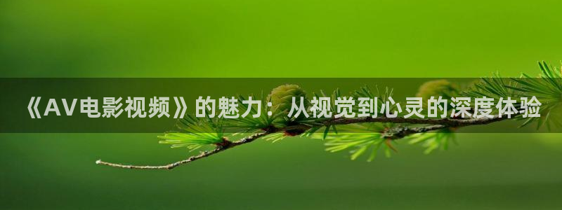 新神马不卡影院